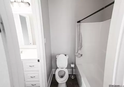 Bath - 21495 Yellowfin Dr, Springfield, LA 70462 photo 8 of 9
