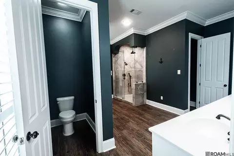 Bath - 21495 Yellowfin Dr, Springfield, LA 70462 photo 1 of 9