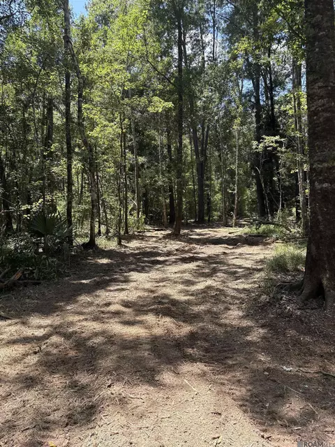 38270 Walker North Rd, Walker, LA 70785 photo 5