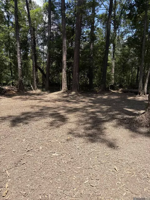 38270 Walker North Rd, Walker, LA 70785 photo 4