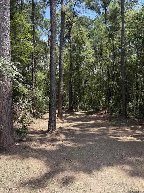 38270 Walker North Rd, Walker, LA 70785 photo 15