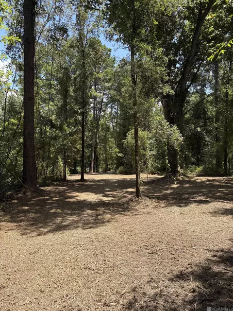 38270 Walker North Rd, Walker, LA 70785 photo 9