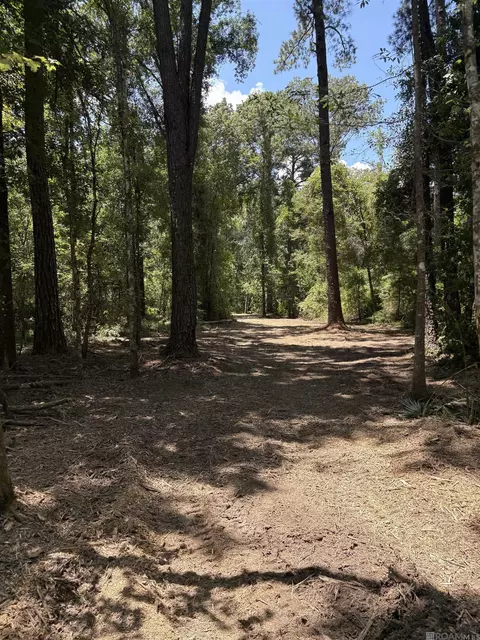 38270 Walker North Rd, Walker, LA 70785 photo 6
