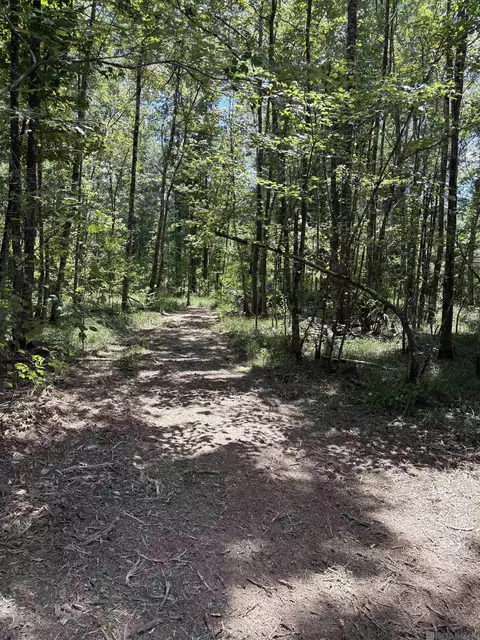 38270 Walker North Rd, Walker, LA 70785 photo 7