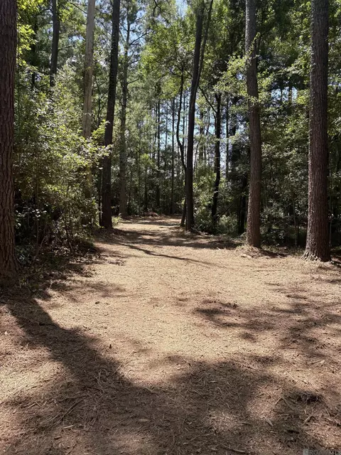 38270 Walker North Rd, Walker, LA 70785 photo 10