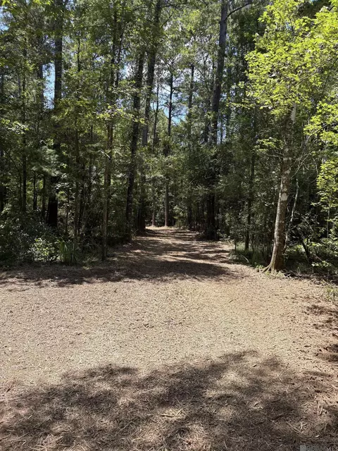 38270 Walker North Rd, Walker, LA 70785 photo 8