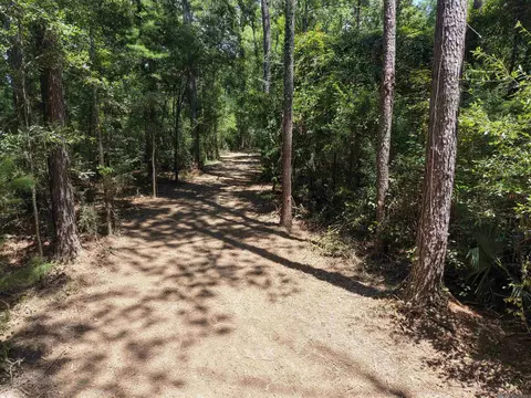 38270 Walker North Rd, Walker, LA 70785 photo 17