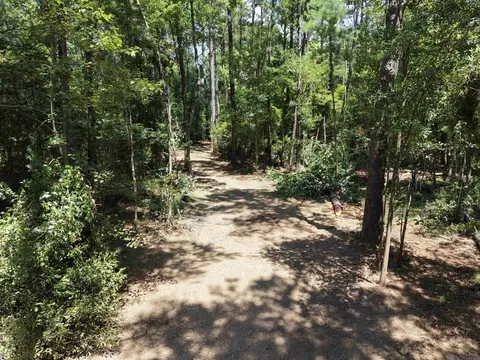 38270 Walker North Rd, Walker, LA 70785 photo 16