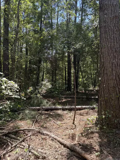 38270 Walker North Rd, Walker, LA 70785 photo 11