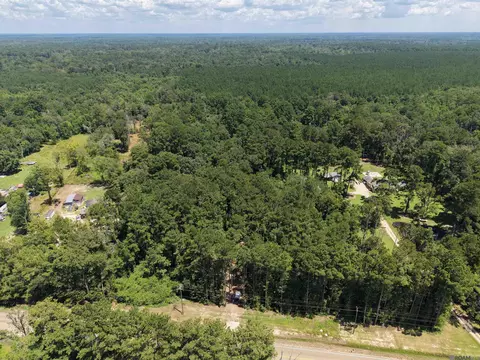38270 Walker North Rd, Walker, LA 70785 photo 3