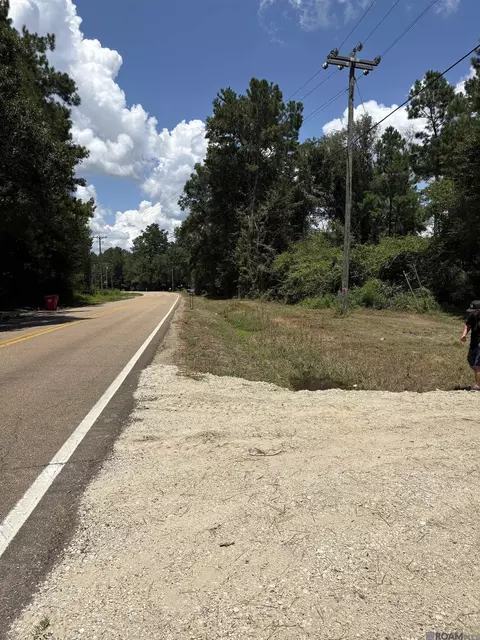 38270 Walker North Rd, Walker, LA 70785 photo 13