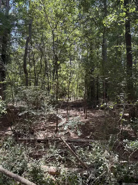 38270 Walker North Rd, Walker, LA 70785 photo 12