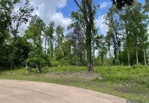 10911 Suncrest Ave, Baton Rouge, LA 70818 photo 5
