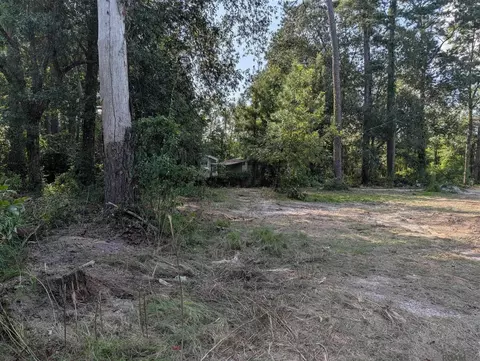 16703 Wildflower Ln, Walker, LA 70785 photo 2