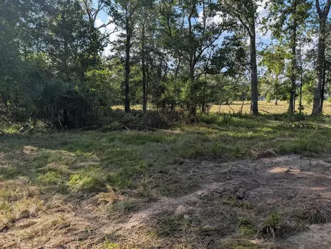 16703 Wildflower Ln, Walker, LA 70785 photo 4