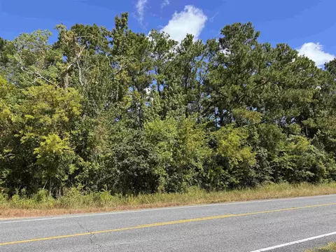 tbd La Hwy 22, Springfield, LA 70462 photo 4