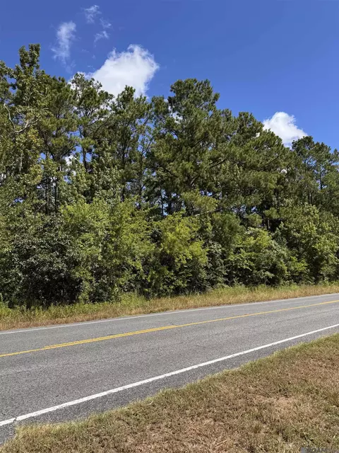 tbd La Hwy 22, Springfield, LA 70462 photo 3