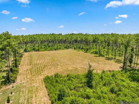 14836 Pace Rd, Clinton, LA 70722 photo 4