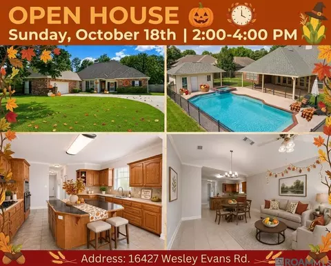 16427 Wesley Evans Rd, Prairieville, LA 70769