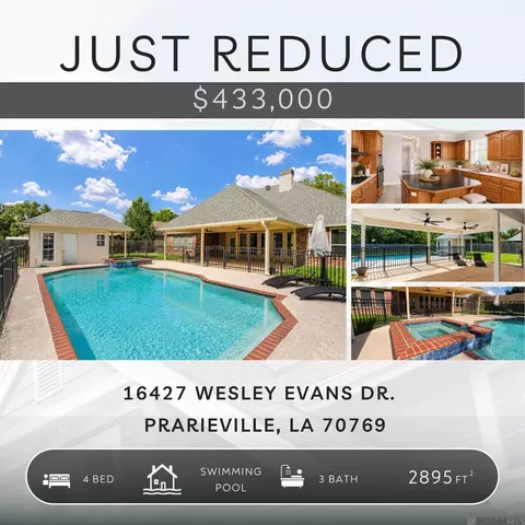 16427 Wesley Evans Rd, Prairieville, LA 70769