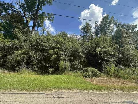 lot23 A Gunboat Island Cir, Maurepas, LA 70449
