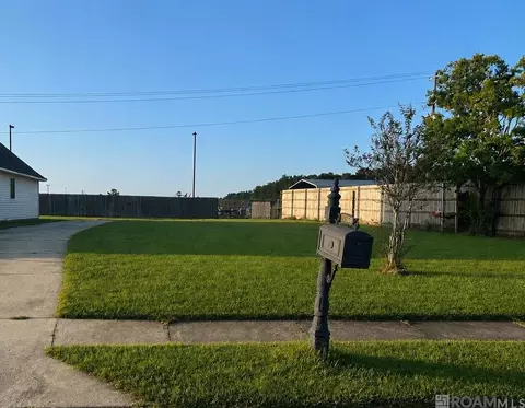 25469 Black Lake Ave, Livingston, LA 70754