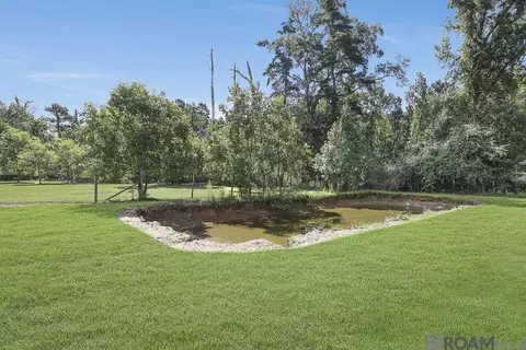 Other - 14210 Tack Covington Rd, Walker, LA 70785 photo 8 of 8