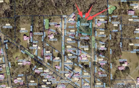 8 Tabony Ct, Walker, LA 70785 photo 5