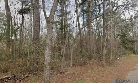 8 Tabony Ct, Walker, LA 70785 photo 6