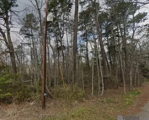8 Tabony Ct, Walker, LA 70785 photo 8
