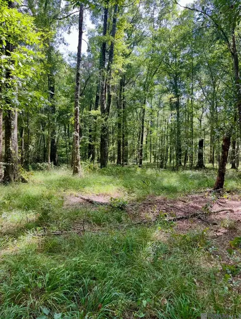 J.h. Jenkins Ln, Denham Springs, LA 70706