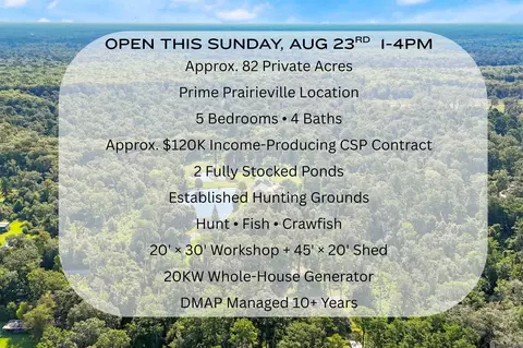 15324 Emmett Moore Dr, Prairieville, LA 70769