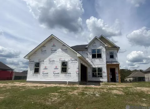 21481 Bluefin Dr, Springfield, LA 70462