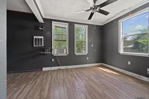 Other - 13065 Fox St, Maurepas, LA 70449 photo 6 of 10