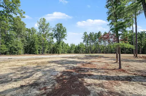 36764 Weiss Rd, Walker, LA 70785 photo 5