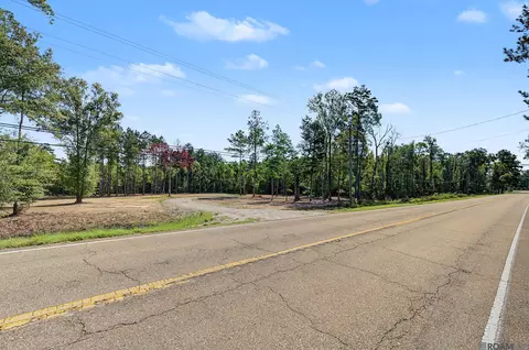 36764 Weiss Rd, Walker, LA 70785 photo 7