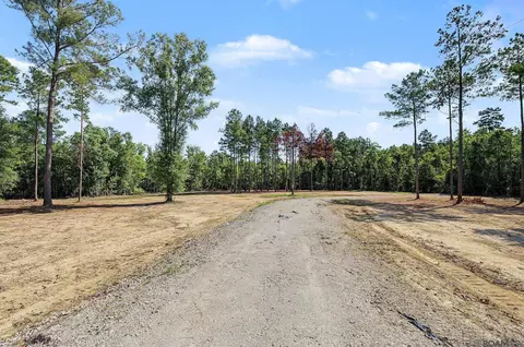 36764 Weiss Rd, Walker, LA 70785 photo 4