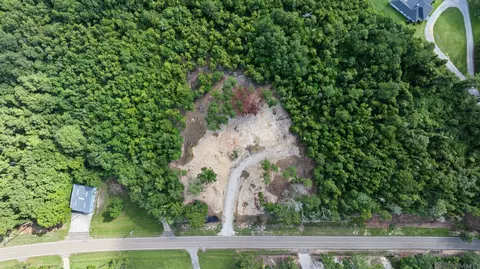 36764 Weiss Rd, Walker, LA 70785 photo 3