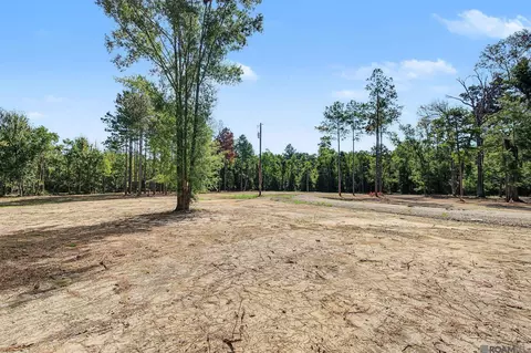 36764 Weiss Rd, Walker, LA 70785 photo 6
