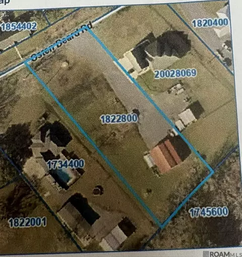 38043 Osten Beard Rd, Darrow, LA 70725 photo 6