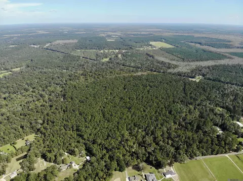 tbd Guitreau Rd, Livingston, LA 70754