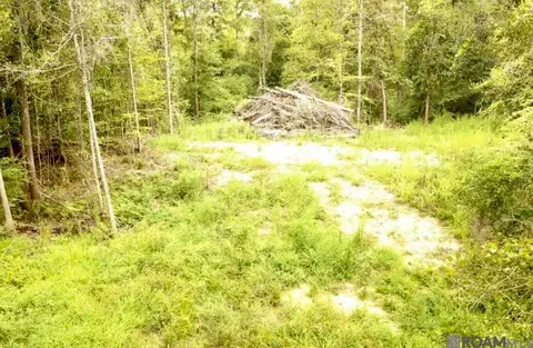 31287 Norred Rd, Holden, LA 70744