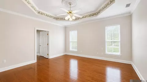 Other - 30125 Oak Shadow Dr, Walker, LA 70785 photo 5 of 7