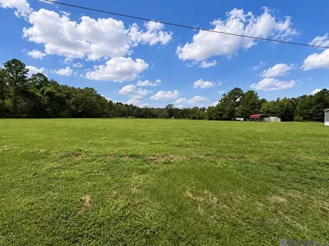 38235 N Walker Rd, Walker, LA 70785 photo 3