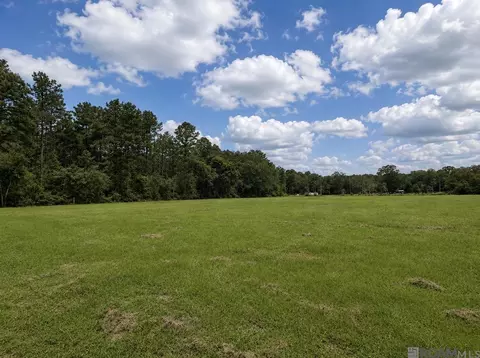 38235 N Walker Rd, Walker, LA 70785 photo 4