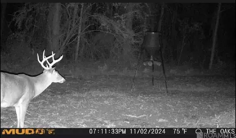 tbd Jerusalem Rd, Liberty, MS 39645 photo 33