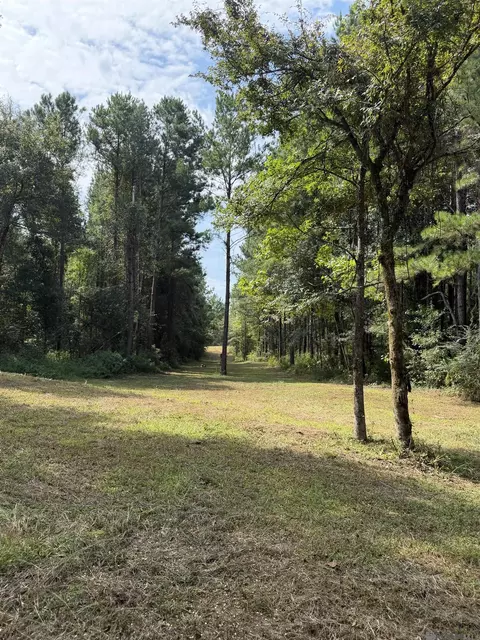 tbd Jerusalem Rd, Liberty, MS 39645 photo 7