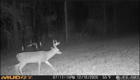 tbd Jerusalem Rd, Liberty, MS 39645 photo 36