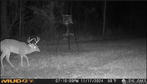 tbd Jerusalem Rd, Liberty, MS 39645 photo 39