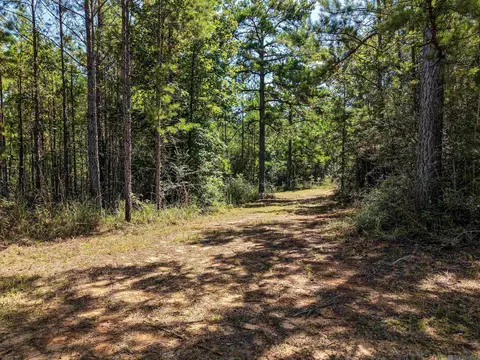 tbd Jerusalem Rd, Liberty, MS 39645 photo 18